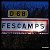 Fescamps 80 - Jean-Michel Andry.jpg