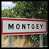 Montgey  81 - Jean-Michel Andry.jpg