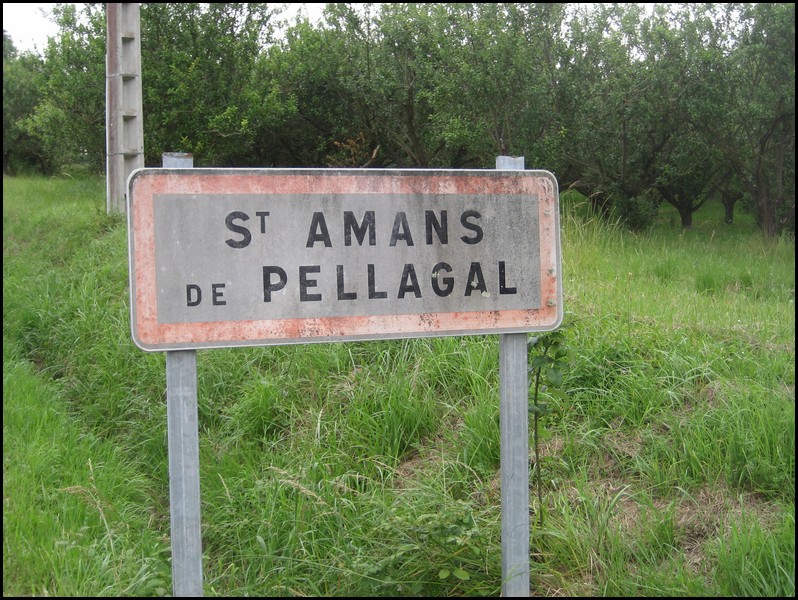 Saint-Amans-de-Pellagal82 - Jean-Michel Andry.jpg