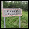 Saint-Amans-de-Pellagal82 - Jean-Michel Andry.jpg