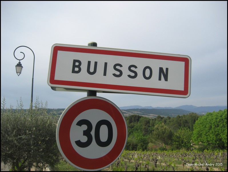 Buisson 84 - Jean-Michel Andry.jpg