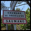 Saumane-de-Vaucluse 84 - Jean-Michel Andry.jpg