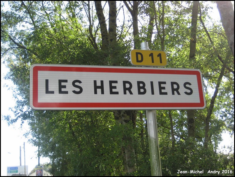 Les Herbiers  85 - Jean-Michel Andry.jpg