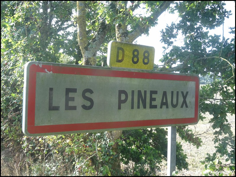 Les Pineaux 85 - Jean-Michel Andry.jpg