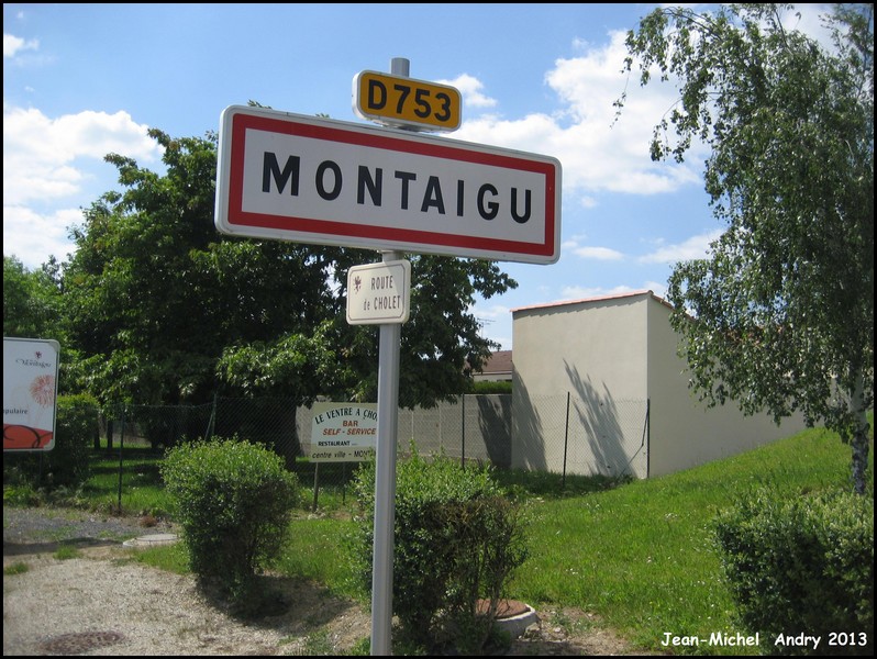 Montaigu  85 - Jean-Michel Andry.jpg