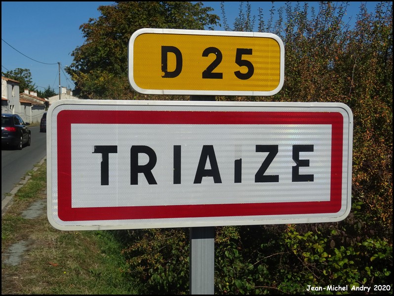 Triaize 85 - Jean-Michel Andry.jpg