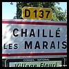 Chaillé-les-Marais 85 - Jean-Michel Andry.jpg