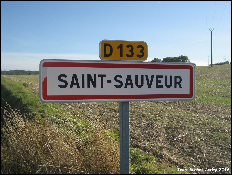 Saint-Sauveur 86 - Jean-Michel Andry.jpg