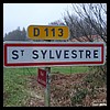 Saint-Sylvestre 87 - Jean-Michel Andry.jpg