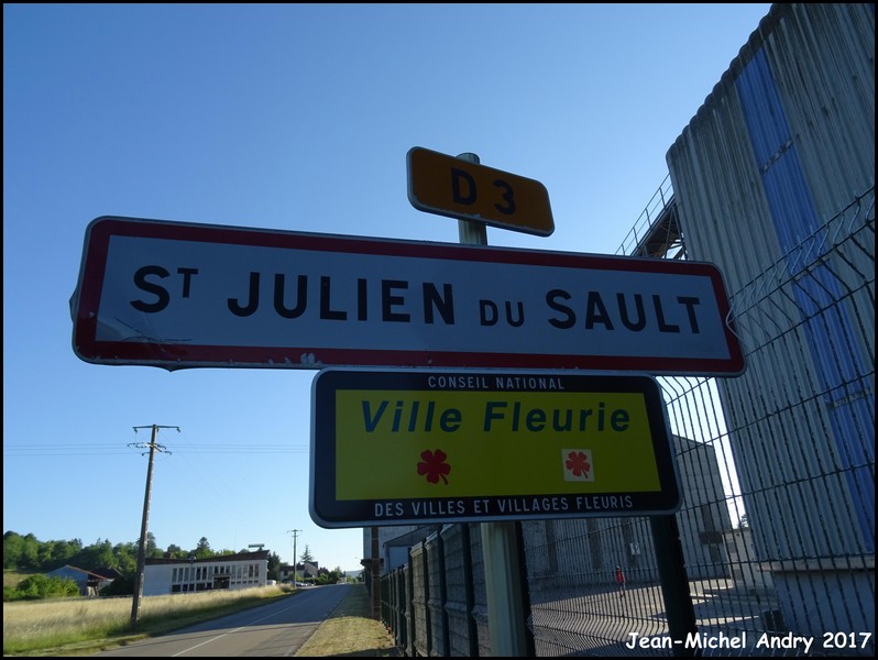 Saint-Julien-du-Sault 89 - Jean-Michel Andry.jpg