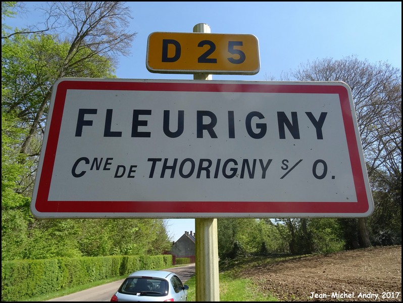 120Fleurigny 89 - Jean-Michel Andry.jpg