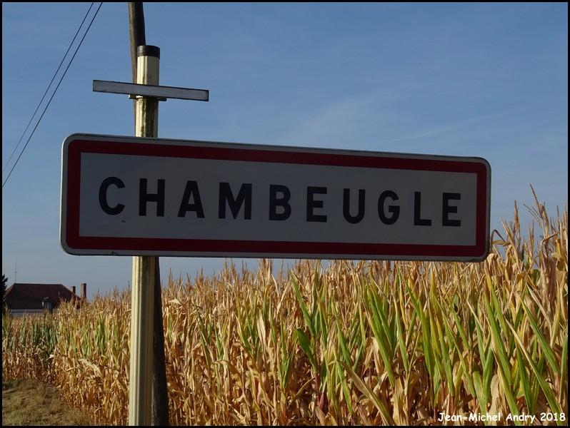 202Chambeugle 89 - Jean-Michel Andry.jpg