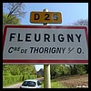 120Fleurigny 89 - Jean-Michel Andry.jpg