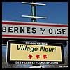 Bernes-sur-Oise 95 - Jean-Michel Andry.jpg